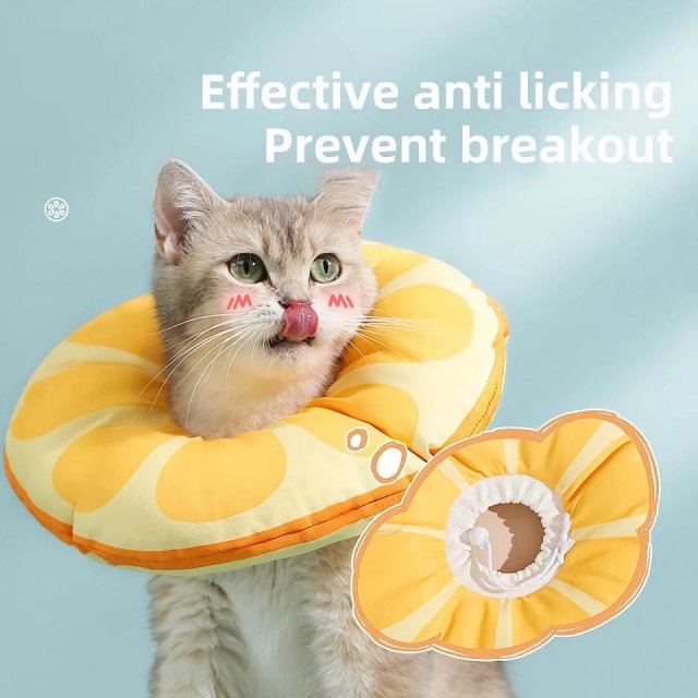 Orange Fruit Shaped Protective Neck Collar for Cats - Image 3