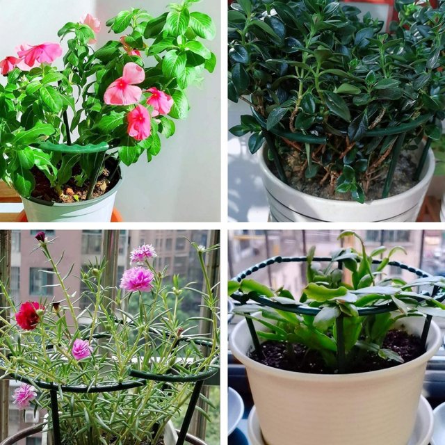 Greenhouse Plant Support Frame - Image 6