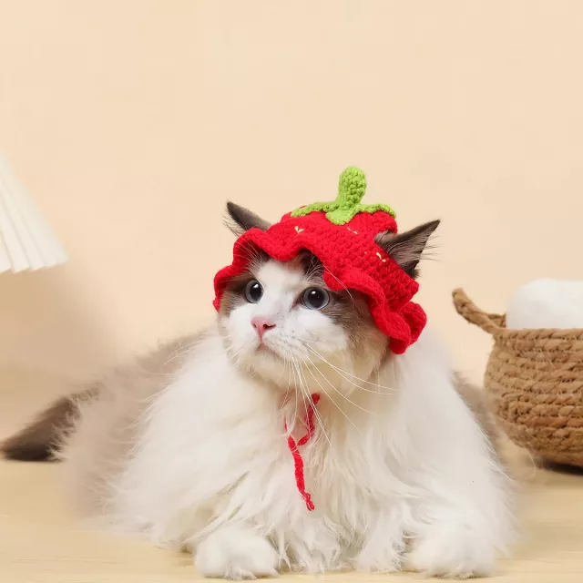Cute Knitted Hat for Cats - Image 5