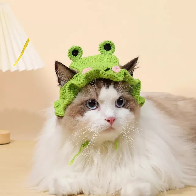 Cute Knitted Hat for Cats - Image 6