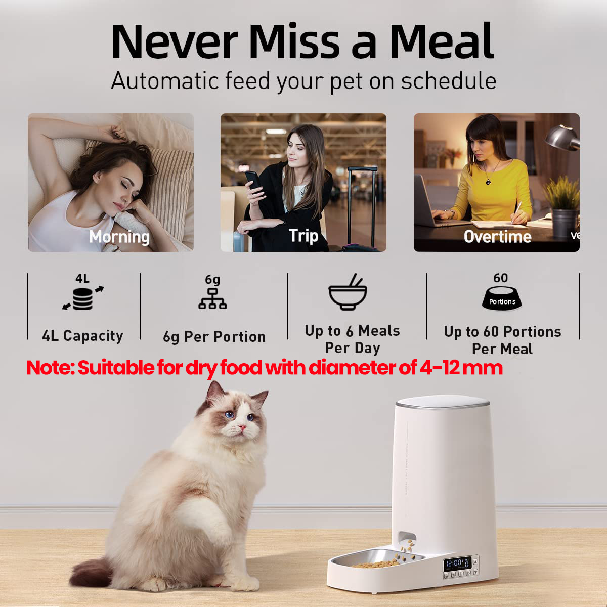 4L Automatic Pet Feeder Feeding Supplies Pets