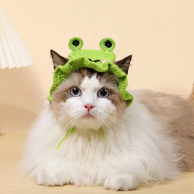 Cute Knitted Hat for Cats - Image 4