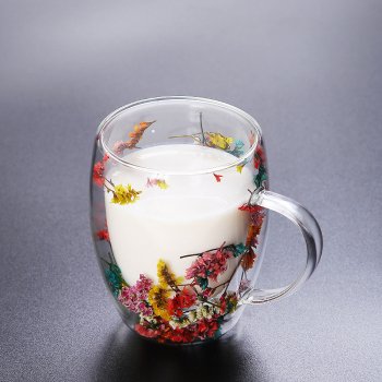 Double Wall Glass Tea Mug with Handle