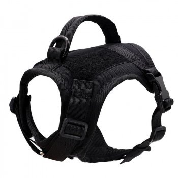 Nylon Cat Harness Vest Pets Walking Supplies Size: Free Size Color: Black