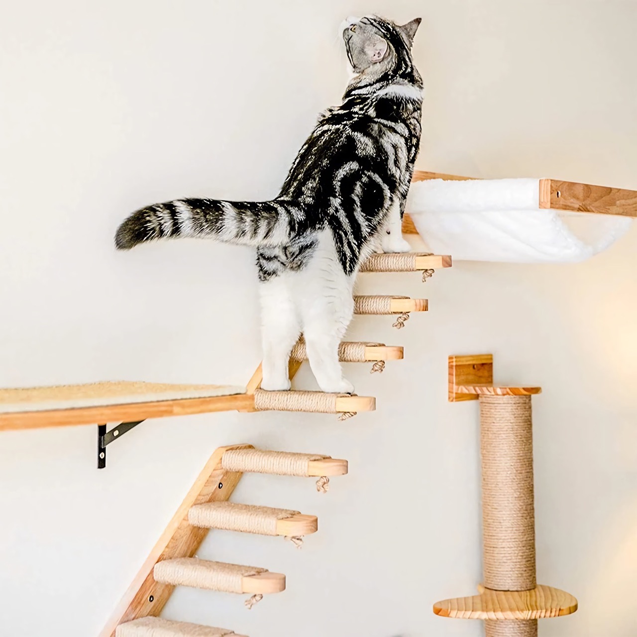 Cat Climbing Shelf Indoor Supplies Pets