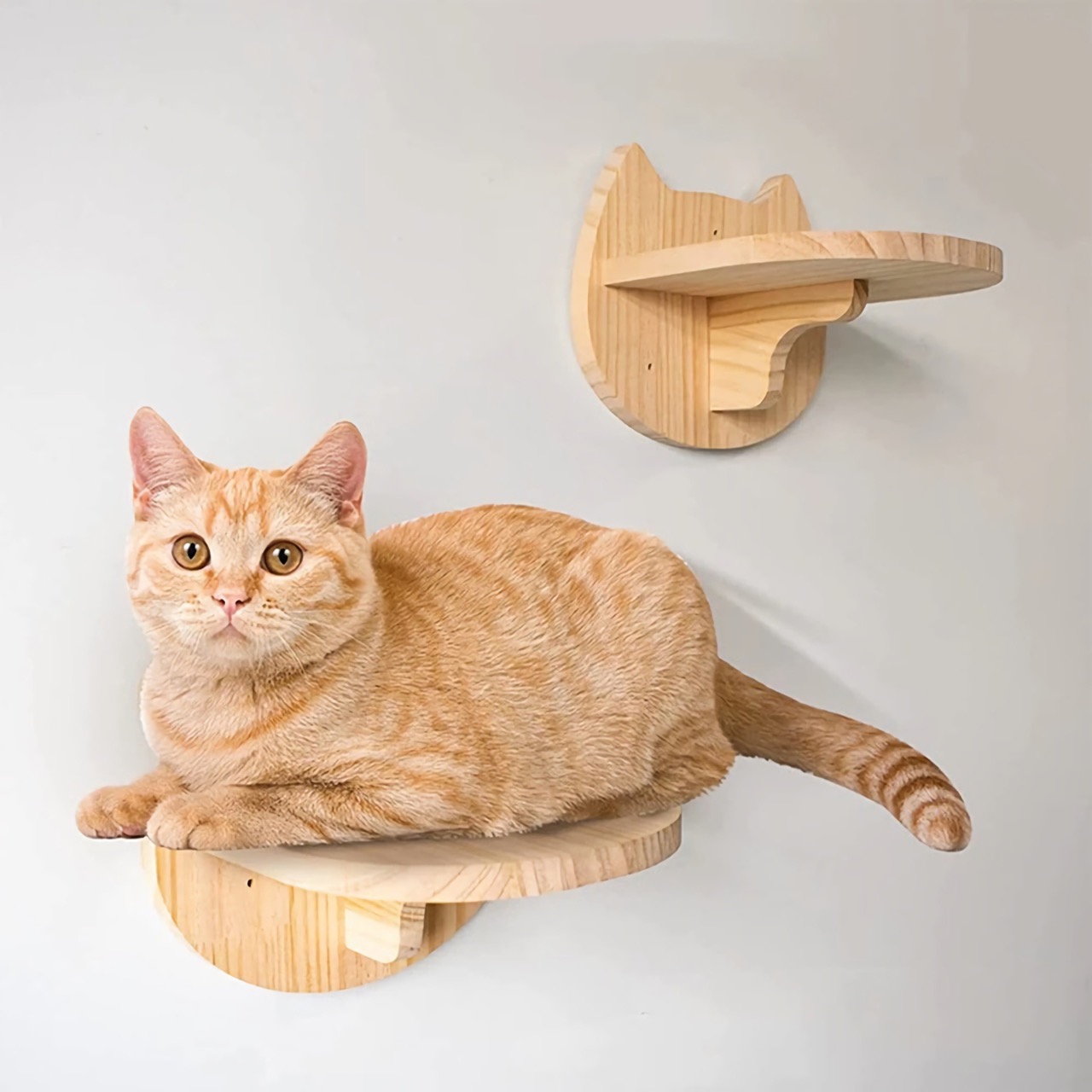 Cat Climbing Shelf Indoor Supplies Pets