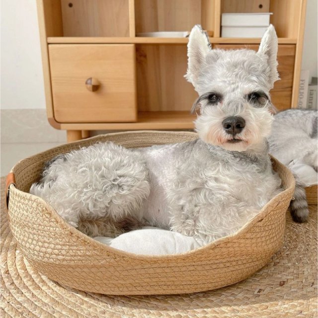 Handmade Bamboo Weaving Cat & Puppy Bed - Image 5