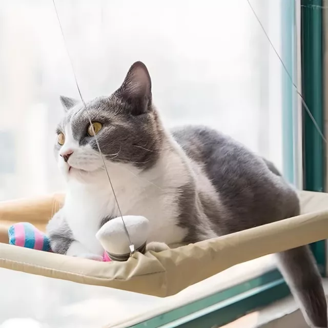 New Cat Hammock Window Hanger - Image 4