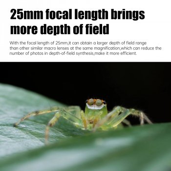 25mm F2.8 Full Frame Ultra Macro Lens