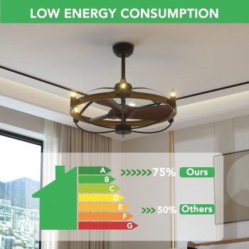 26-Inch Farmhouse Ceiling Fan with Lights