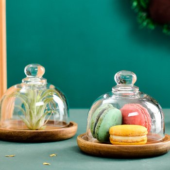 Mini Wooden Dessert Plate with Glass Dome