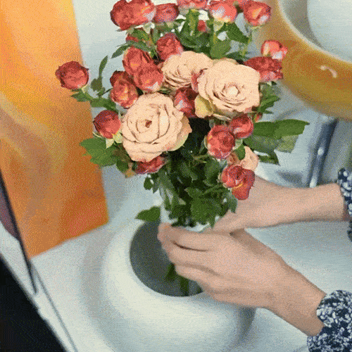 Spiral Floral Arranger (2)