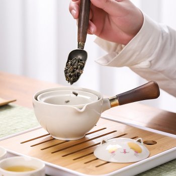 Lucky Cat Portable Porcelain Tea Set