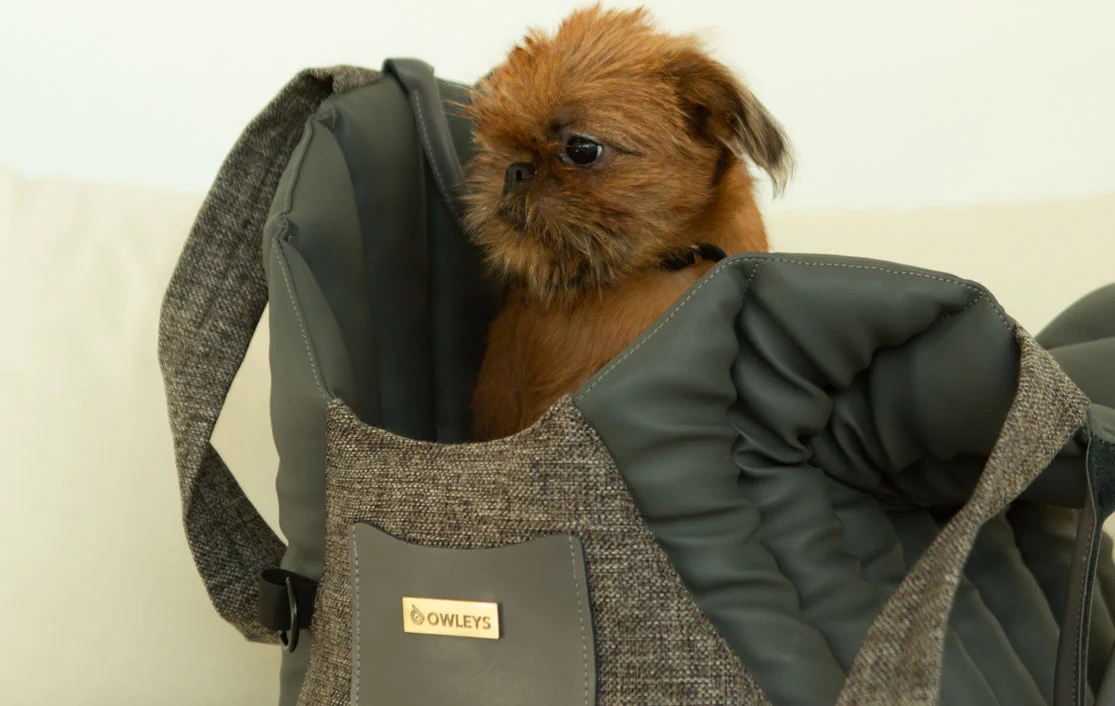 Dog Carrier Car Seat