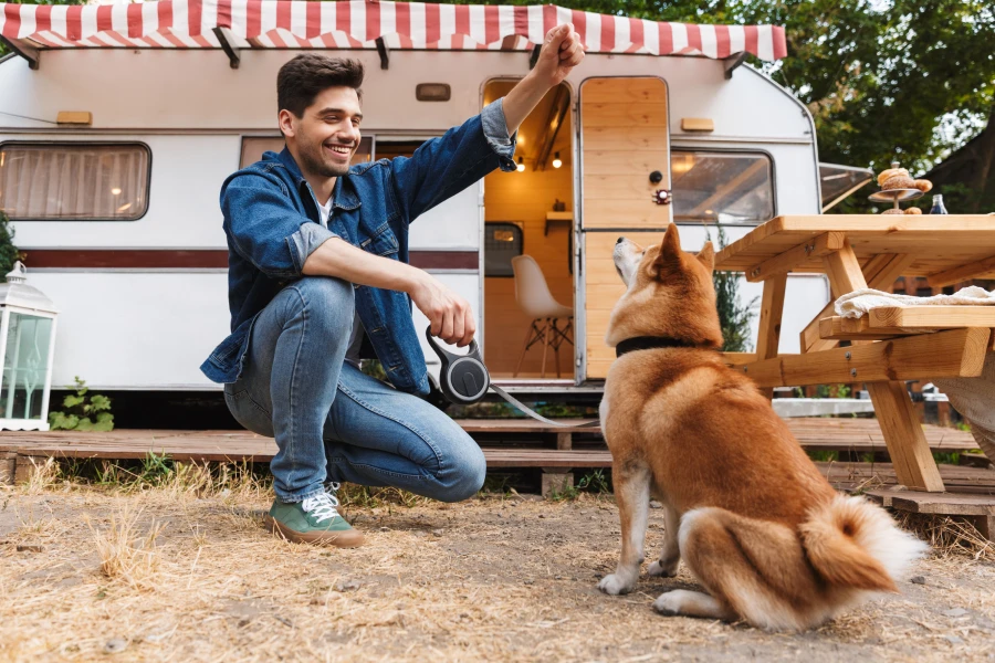 dog walking waist bag