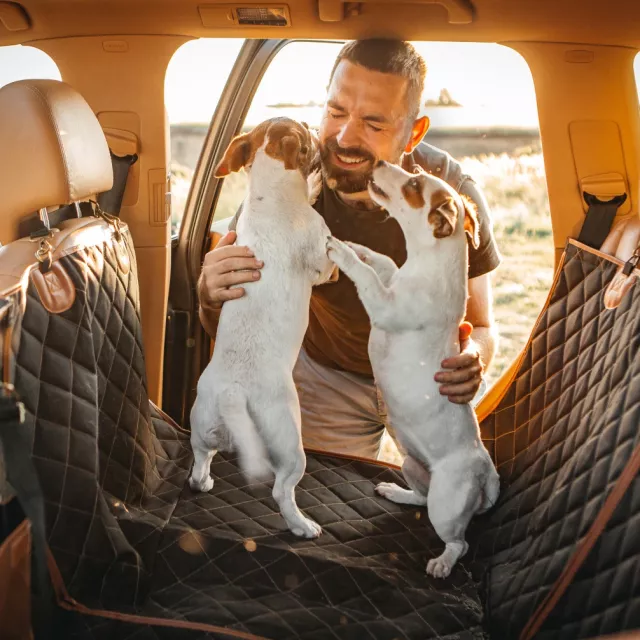 Car Dog Hammock