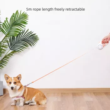 Luminous Retractable Nylon Pet Leash for Dogs & Cats - Durable, Automatic, & Extendable
