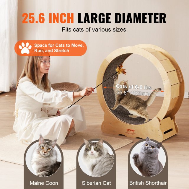 Natural Wood Cat Exercise Wheel - Image 4