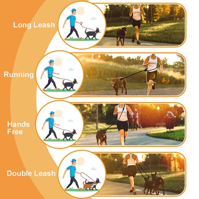 Multifunctional Hands-Free Dog Leash - Image 5