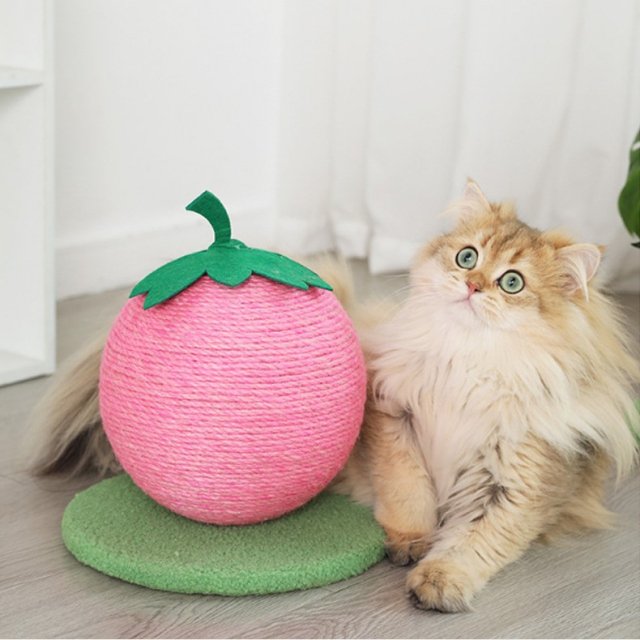 Sisal Fruit Cat Scratching Board with Climbing Frame - Image 6