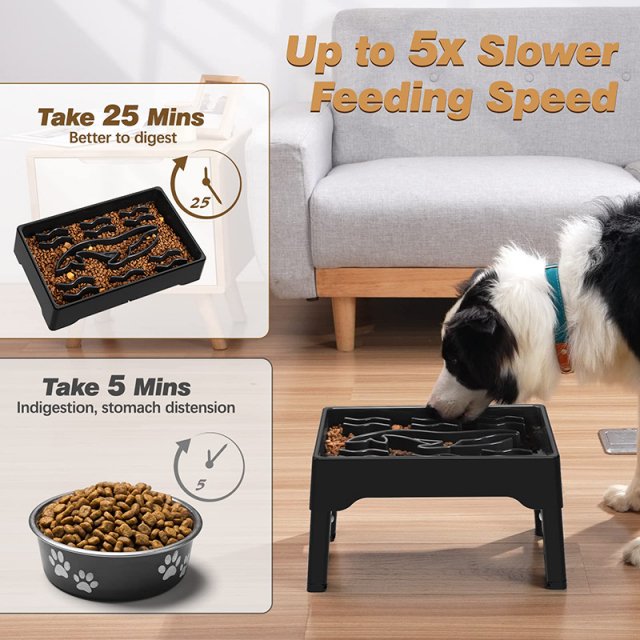 Adjustable Elevated Dog Bowls with Slow Feeder for Large Dogs - Image 4