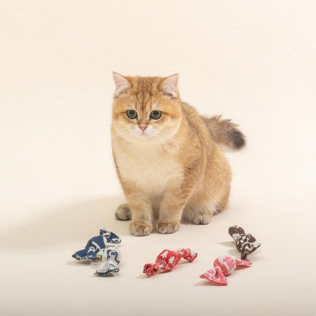 Interactive Cat Chew Toy with Bells & Catnip - Image 3