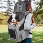 Premium Breathable Small Dog and Cat Backpack