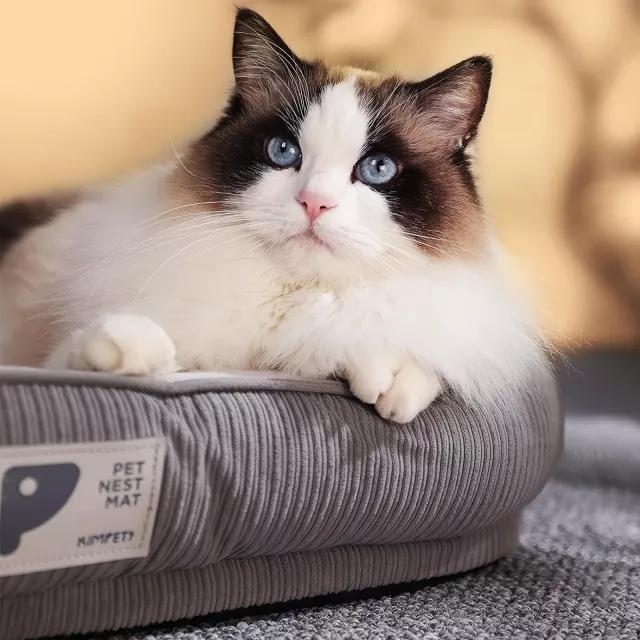 Cozy Indoor Pet Bed - Image 5