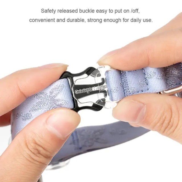 Adjustable Cat and Small Dog Collar - Image 5