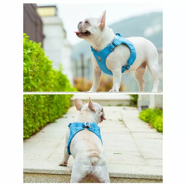 Eco-Friendly Adjustable No-Pull Pet Harness - Image 9