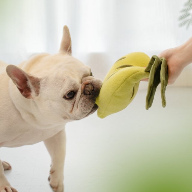 Interactive Plush Dog Snuffle Toy Set - Image 5