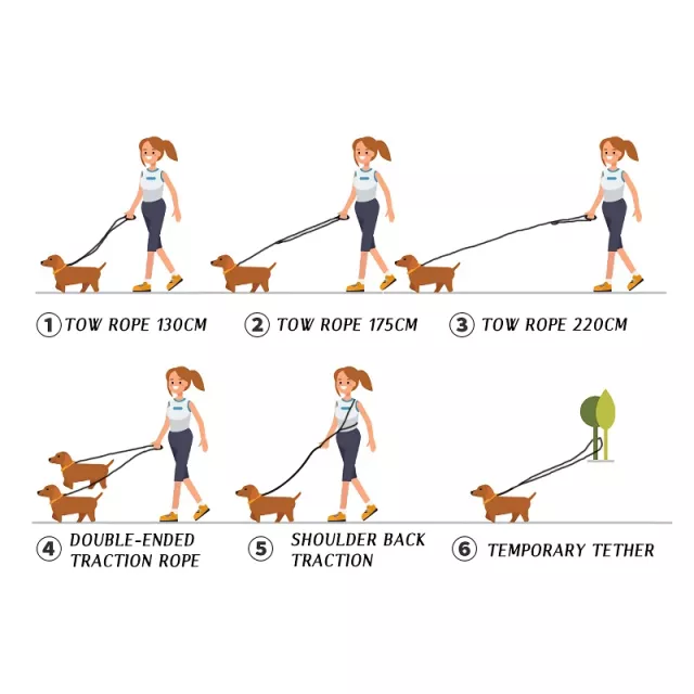 Durable Nylon Dog Leash - Image 7