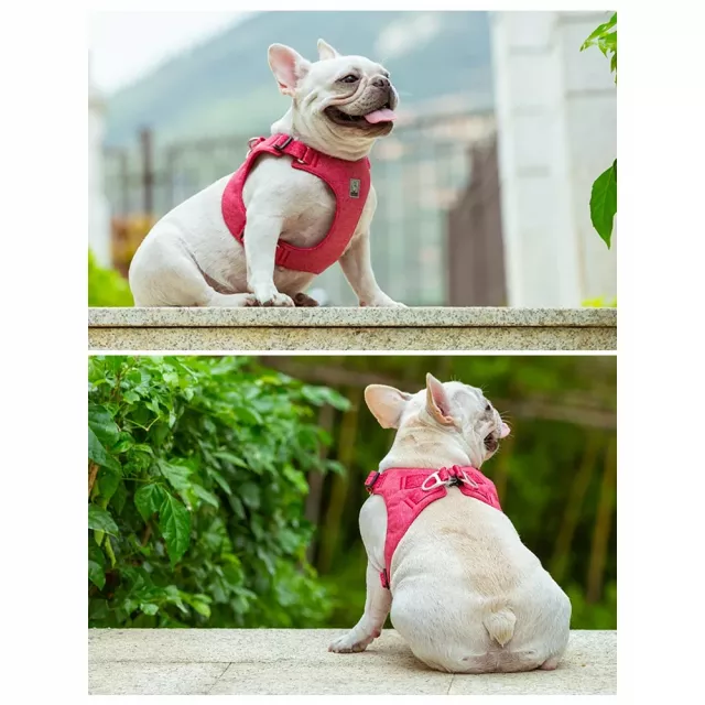 Eco-Friendly Adjustable No-Pull Pet Harness - Image 3