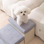 Portable Non-Slip Pet Stairs