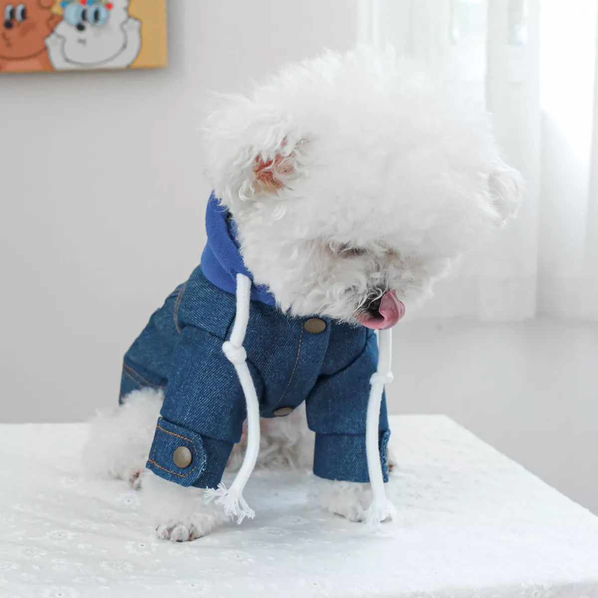 Cozy Denim Pet Jacket 