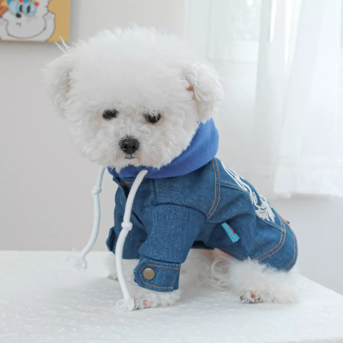 Cozy Denim Pet Jacket 