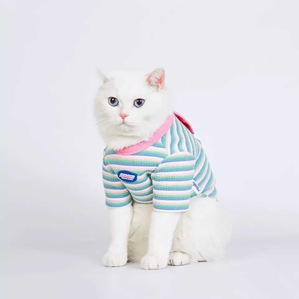 Autumn Pet Hoodie - Long Sleeve Pullover for Small and Medium Dogs and Cats 