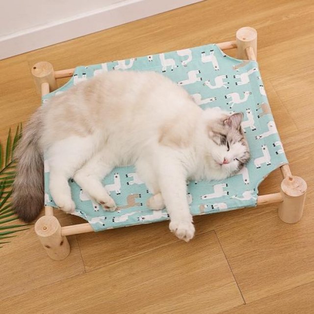 Outdoor & Indoor Cat Bed House