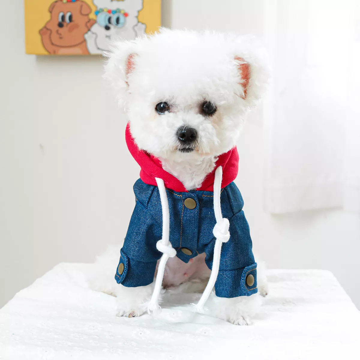 Cozy Denim Pet Jacket 