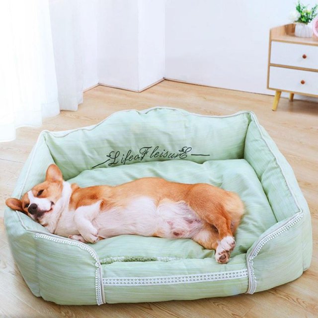 Soft & Comfortable High-Back Dog Bed