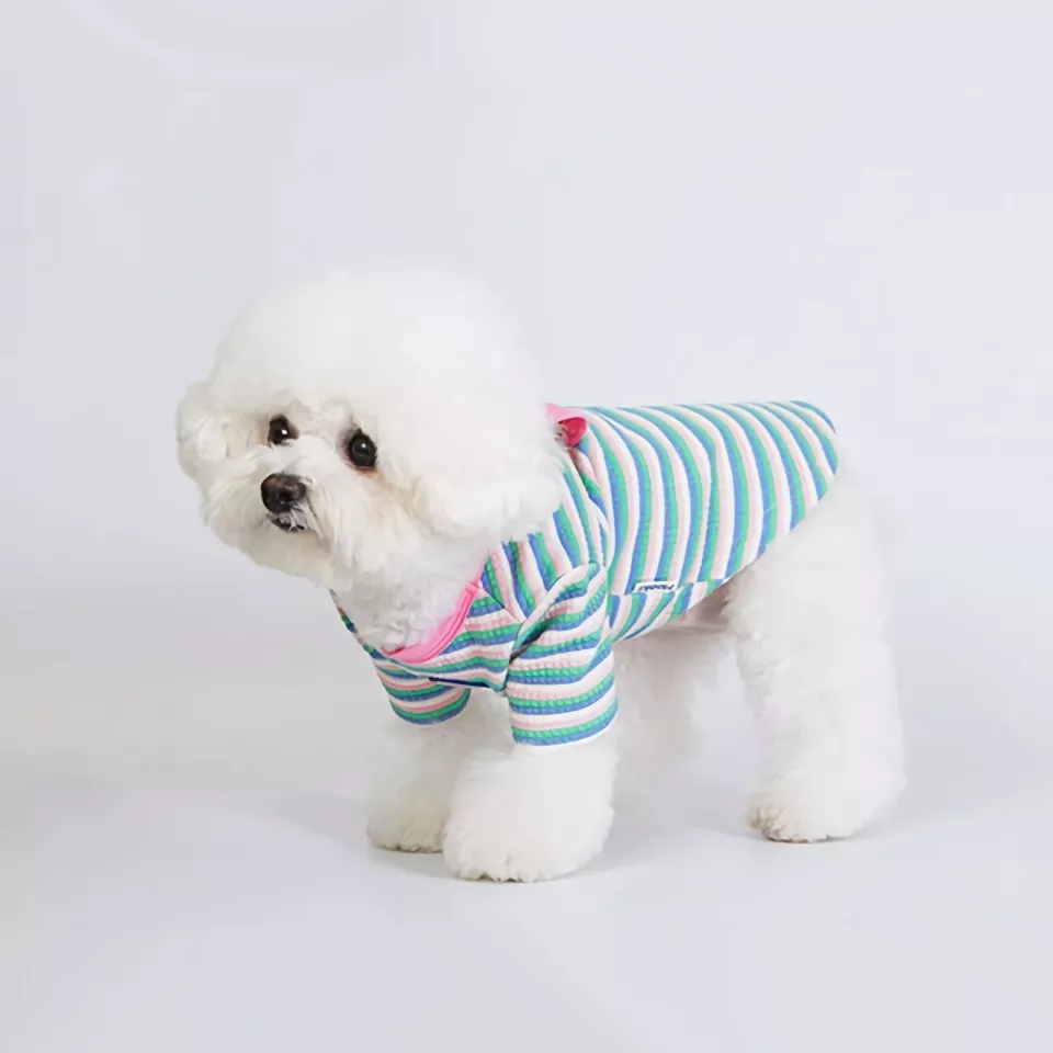 Autumn Pet Hoodie - Long Sleeve Pullover for Small and Medium Dogs and Cats 