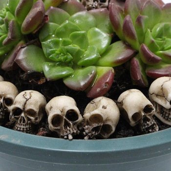 20pcs Mini Skull Set