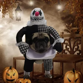 Spooky Demon Dog Costume - Funny Head-on-Plate Outfit for Small to Large Dogs