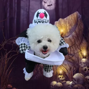 Spooky Demon Dog Costume - Funny Head-on-Plate Outfit for Small to Large Dogs
