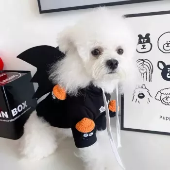 Adorable Teddy Bear Dog Hoodie with Funny Wings
