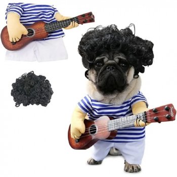 Funny Guitar Halloween Costume for Pets