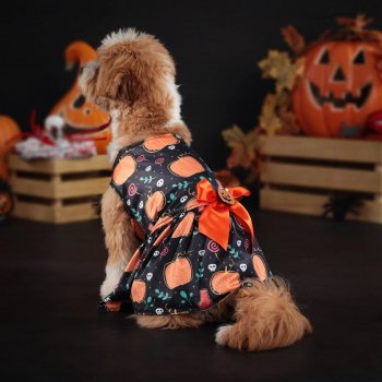 Charming Lace Halloween Costume Dress for Small Dogs