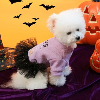Pet Halloween Mesh Dress Hoodie
