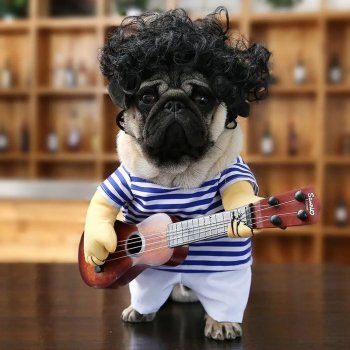 Funny Guitar Halloween Costume for Pets