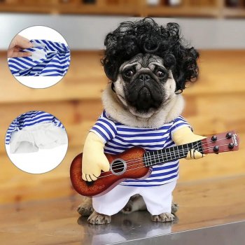 Funny Guitar Halloween Costume for Pets